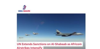 UN Extends Sanctions on Al-Shabaab as Africom Airstrikes Intensify