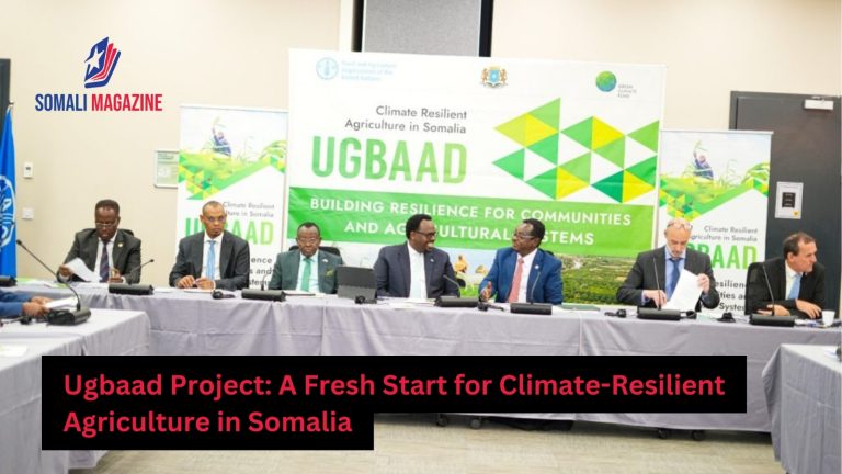 Ugbaad Project: A Beacon of Hope for Climate-Resilient Agriculture in Somalia