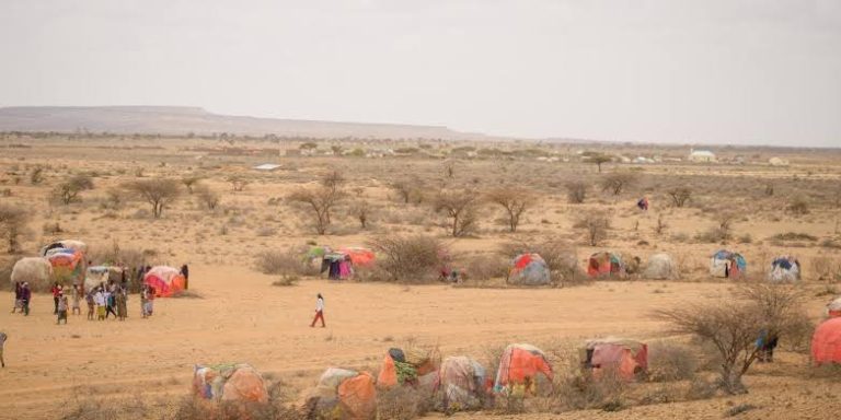 Drought-Driven Debt Crisis Forces Shops to Close in Somaliland