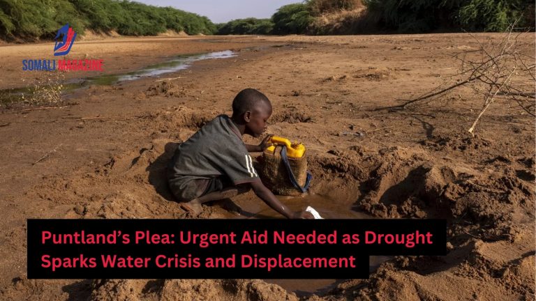 Puntland Appeals for Emergency Aid as Drought Sparks Water Crisis and Displacement