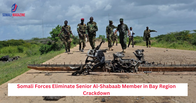 Somali Forces Eliminate Senior Al-Shabaab Member in Bay Region Crackdown