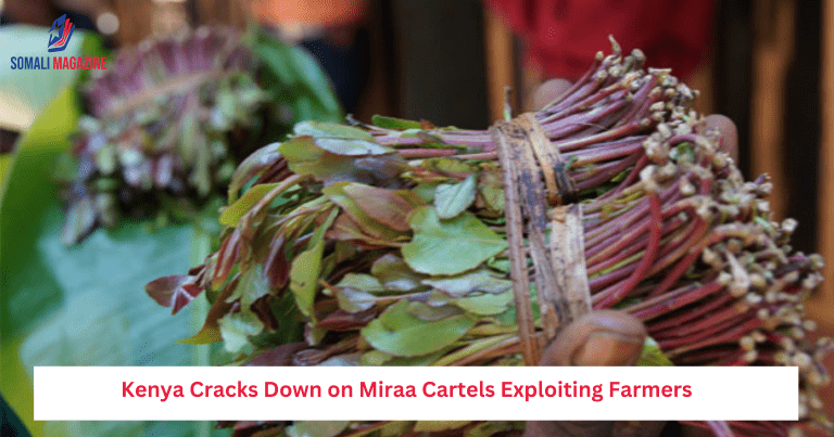 Kenya Cracks Down on Miraa Cartels Exploiting Farmers