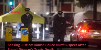Danish Police Launch Manhunt After Somali Woman Fatally Stabbed in Herning