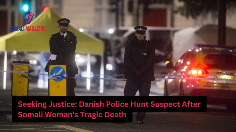 Danish Police Launch Manhunt After Somali Woman Fatally Stabbed in Herning