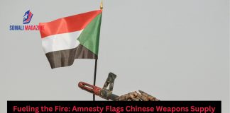 Sudan Conflict Escalates as Amnesty Flags Chinese Weapons Supply