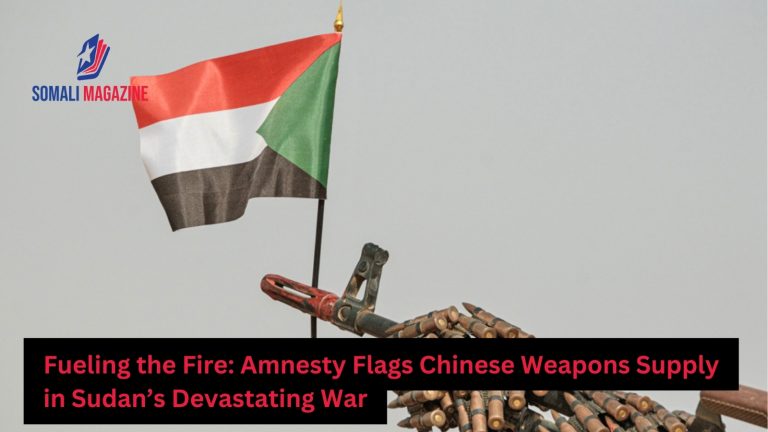 Sudan Conflict Escalates as Amnesty Flags Chinese Weapons Supply