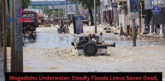 Deadly Floods in Mogadishu Leave Seven Dead, Infrastructure in Ruins