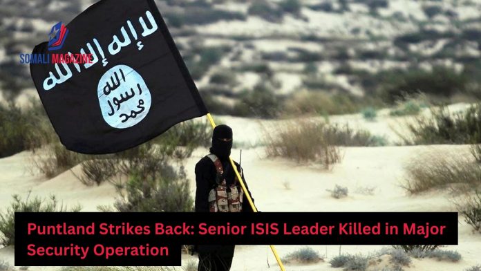 Puntland Forces Kill Senior ISIS Leader in Major Security Operation
