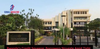 Rwandan Borrowers Struggle Amid Long-Term Credit Crunch