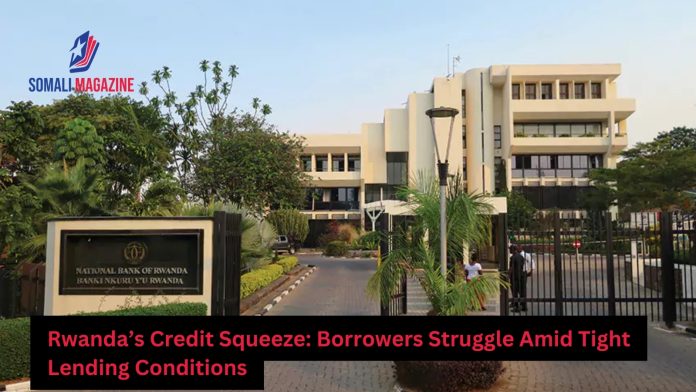 Rwandan Borrowers Struggle Amid Long-Term Credit Crunch