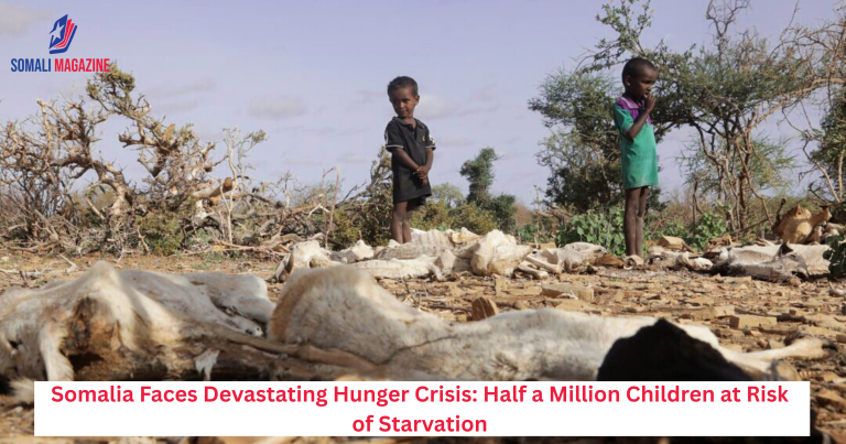 Somalia Faces Devastating Hunger Crisis: Half a Million Children at Risk of Starvation