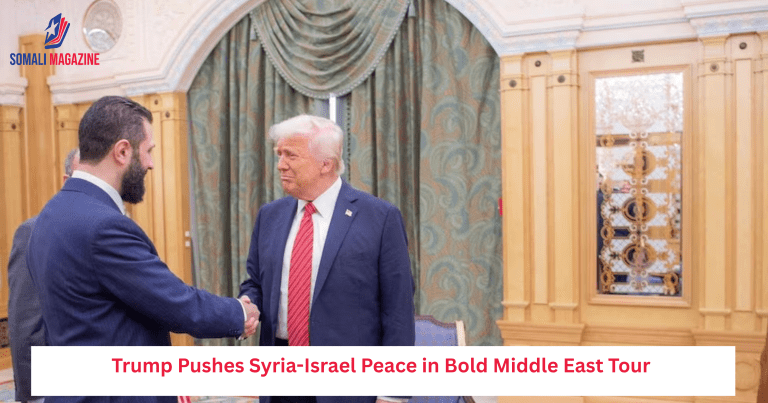 Trump Pushes Syria-Israel Peace in Bold Middle East Tour