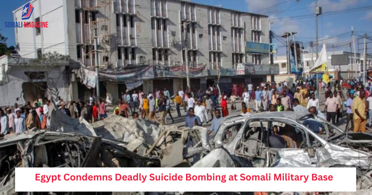 Egypt Condemns Deadly Suicide Bombing at Somali Military Base