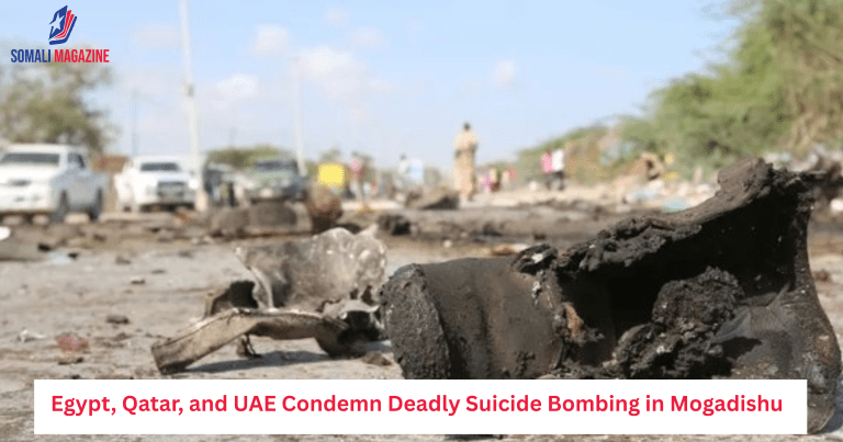 Egypt, Qatar, and UAE Condemn Deadly Suicide Bombing in Mogadishu