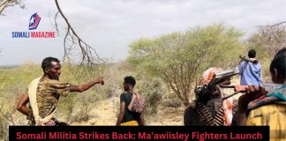 Ma’awiisley Militia Launches Major Offensive Against Al-Shabaab in Hiiraan
