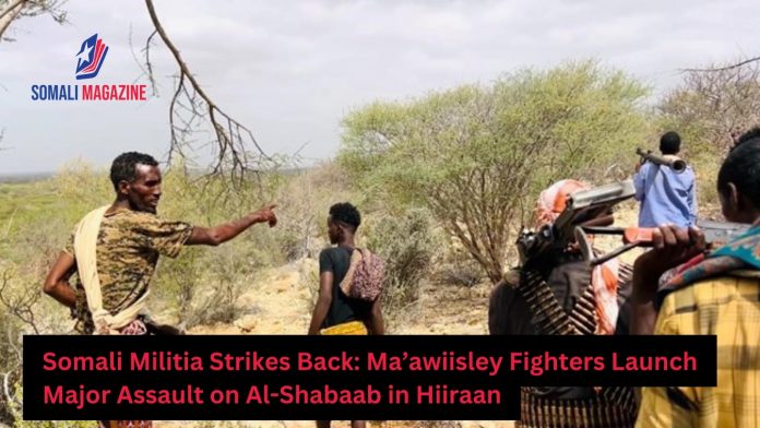 Ma’awiisley Militia Launches Major Offensive Against Al-Shabaab in Hiiraan