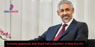 Somalia Applauds Sidi Ould Tah’s Election as AfDB President