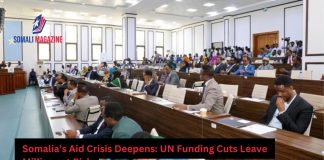 Somalia Faces Deepening Humanitarian Crisis as UN Aid Funding Plummets