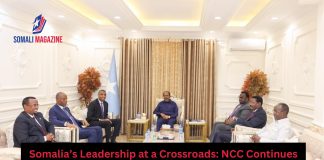 Somalia’s National Consultative Council Continues Amid Puntland, Jubbaland Boycott