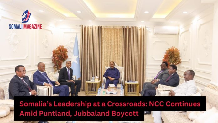 Somalia’s National Consultative Council Continues Amid Puntland, Jubbaland Boycott