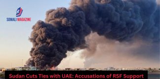 Sudan Severs Ties with UAE Over Alleged Support for RSF