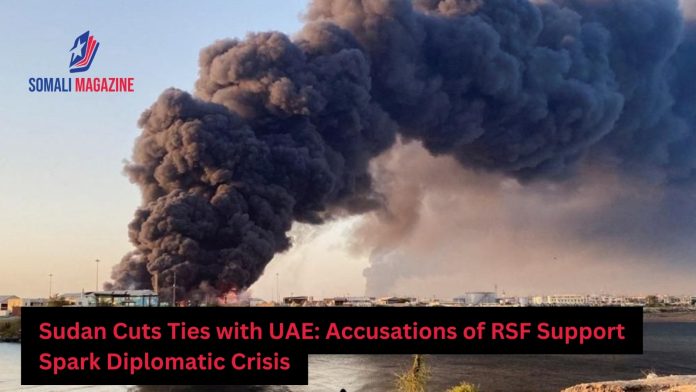 Sudan Severs Ties with UAE Over Alleged Support for RSF
