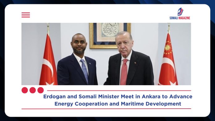 Turkish President Erdogan Meets Somali Minister as Energy Cooperation Gains Momentum