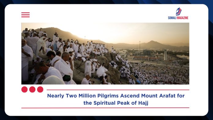 Nearly Two Million Pilgrims Ascend Mount Arafat for Peak of Hajj Pilgrimage