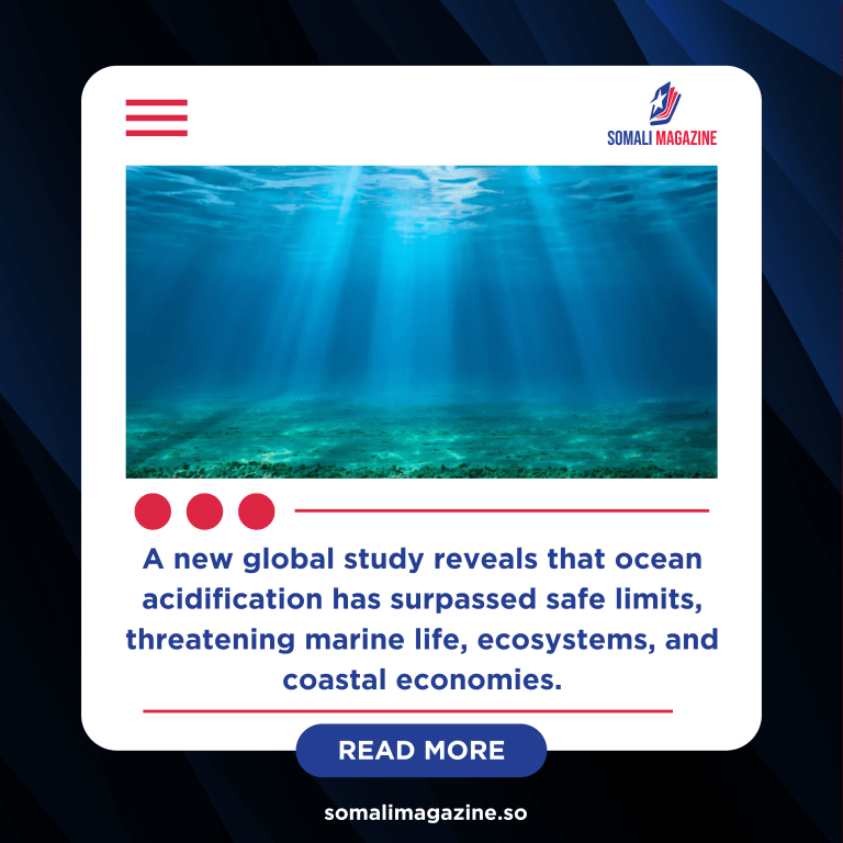 World’s Oceans Have Crossed a Dangerous Acidification Threshold, Scientists Warn