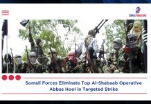 Top Al-Shabaab Operative Abbas Hool Dies from Injuries After Somali Military Strike