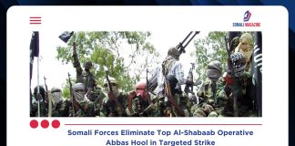 Top Al-Shabaab Operative Abbas Hool Dies from Injuries After Somali Military Strike