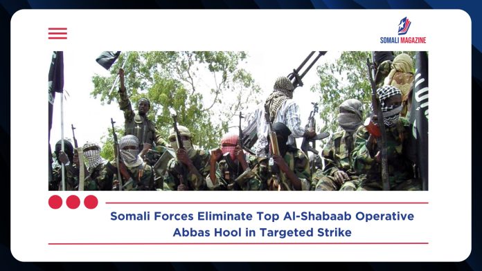 Top Al-Shabaab Operative Abbas Hool Dies from Injuries After Somali Military Strike