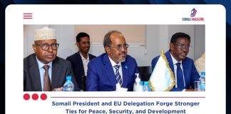 Somali President Meets EU Delegation to Strengthen Bilateral Cooperation and Development
