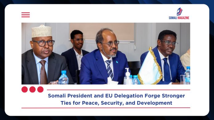 Somali President Meets EU Delegation to Strengthen Bilateral Cooperation and Development