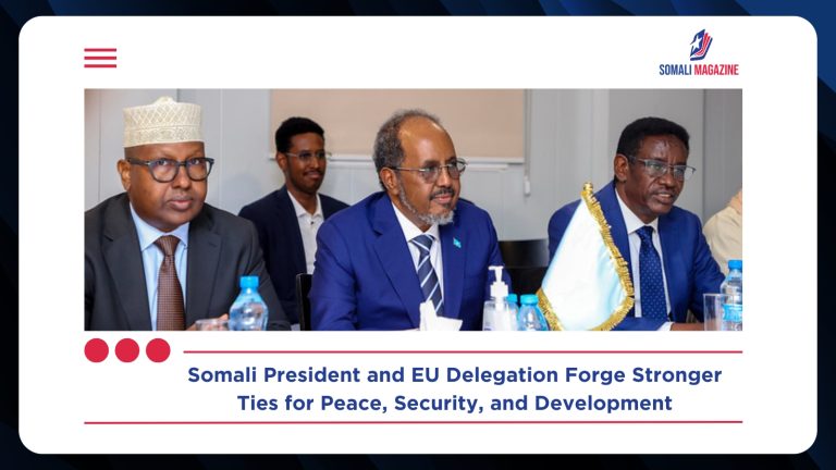 Somali President Meets EU Delegation to Strengthen Bilateral Cooperation and Development