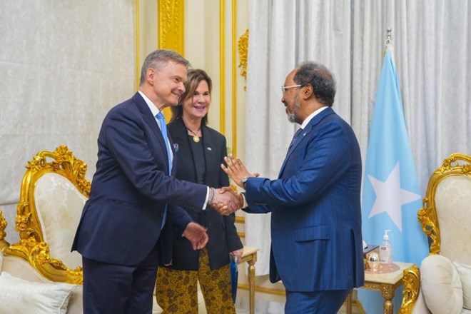 Somali President Meets EU Delegation to Strengthen Bilateral Cooperation and Development