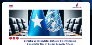 Somalia Congratulates Bahrain on UN Security Council Election