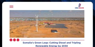 Somalia Plans to Cut Diesel Use and Triple Renewable Energy Capacity by 2030