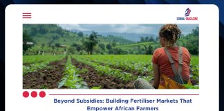 African Agriculture Won’t Thrive on Fertiliser Subsidies but Working Markets, Experts Warn