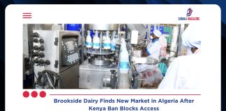 Banned in Kenya, Brookside Dairy Finds Lifeline in Algeria as Export Window Opens