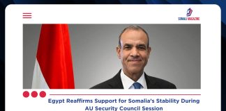 Egypt Reaffirms Support for Somalia’s Stability Amid Regional Security Transition