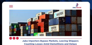 From Docks to Homes, Shops: Juba Importers Leave Shippers Counting Losses Amid Market Chaos