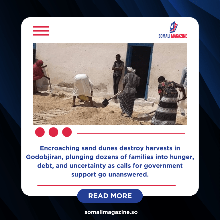 Shifting Sands Bury Hope: Farmers in Puntland Face Environmental Disaster