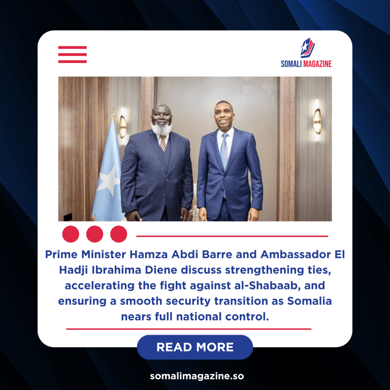 Somali PM Meets New AU Envoy to Boost Security Cooperation
