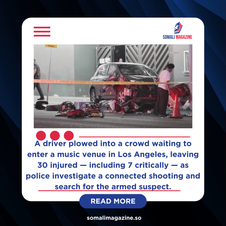 Chaos in East Hollywood: Car Rams Into Crowd Outside LA Concert, 30 Injured