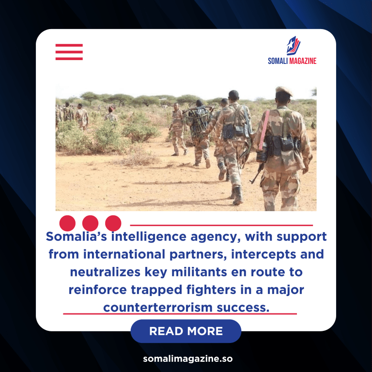 NISA Eliminates 15 al-Shabaab Militants in Targeted Operation in Hiiraan
