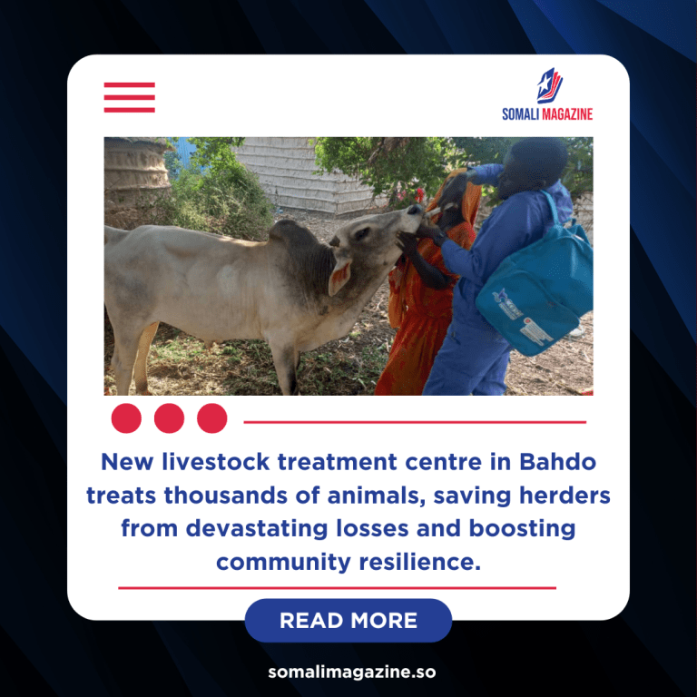 Free Vet Clinic Revives Hope for Somali Herders