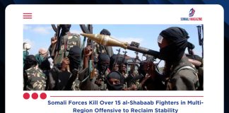 Somali Forces Kill Over 15 al-Shabaab Fighters in Multi-Region Operations as Anti-Terror Campaign Gains Momentum