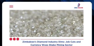 Zimbabwe Diamonds Lose Shine, Spark Massive Job Cuts as Currency Crunch Bites