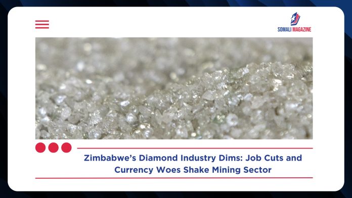 Zimbabwe Diamonds Lose Shine, Spark Massive Job Cuts as Currency Crunch Bites